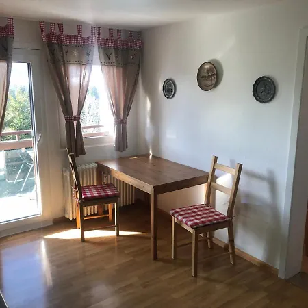 Ferienhaus Frei 3 Budget Titisee-Neustadt Zewnętrze zdjęcie