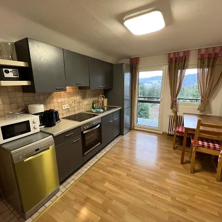 Ferienhaus Frei 3 Budget Titisee-Neustadt Zewnętrze zdjęcie